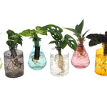 MixinSalinasglas productafbeelding