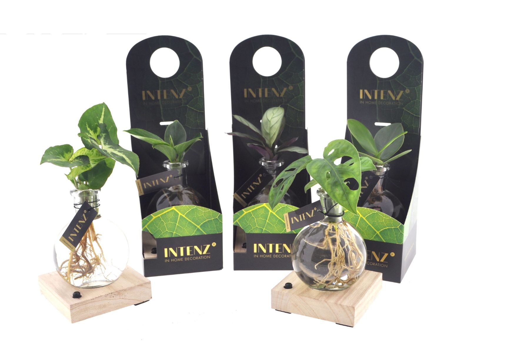 MixinSamoaglas led verp productafbeelding