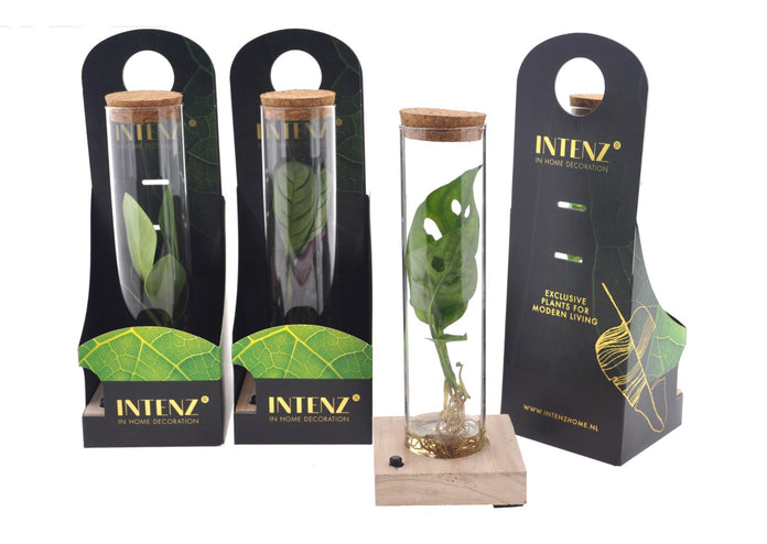 Mixintubeglassmall led verpakking productafbeelding
