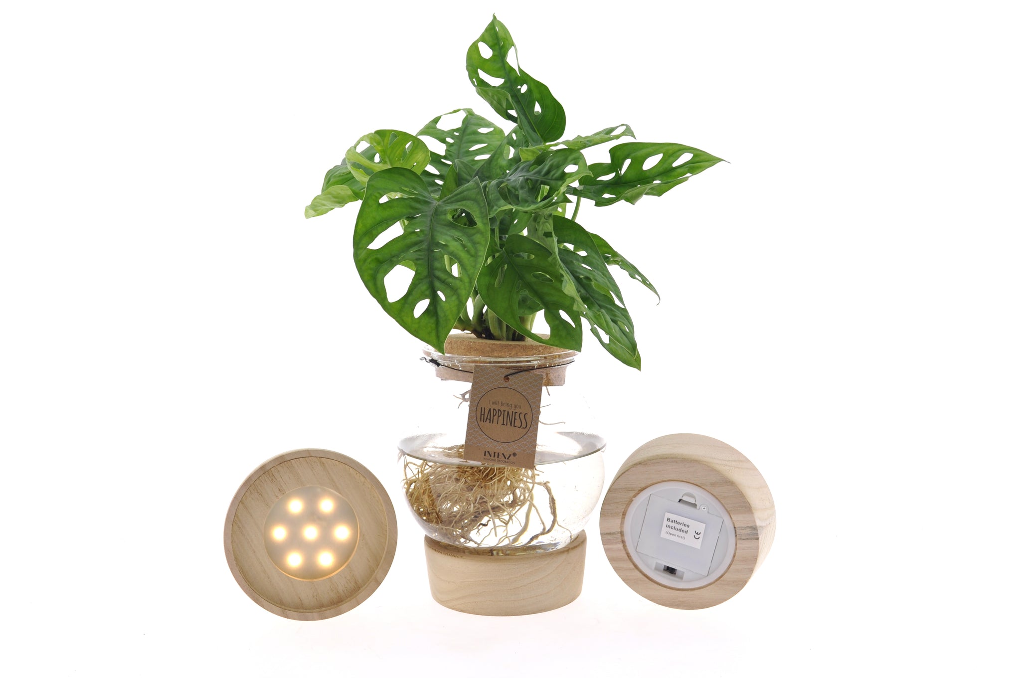 MonsterainBolglas LED productafbeelding